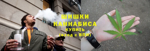 ГАЛЛЮЦИНОГЕННЫЕ ГРИБЫ Бронницы